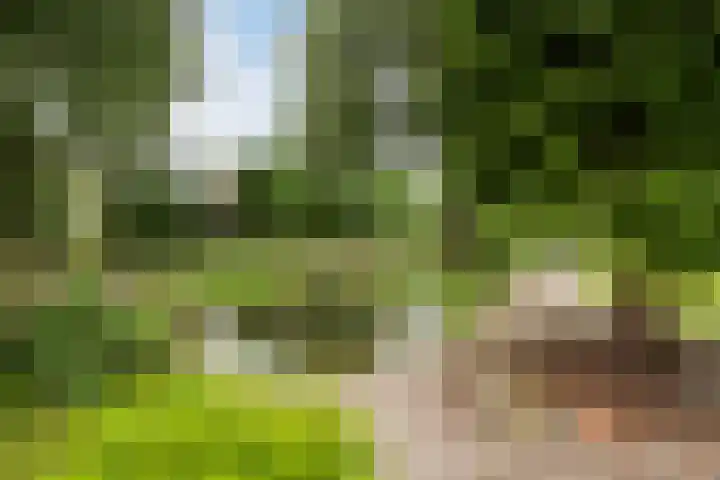 Toldijk 4 Hoogeveen thumbnail 55