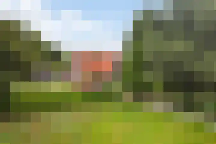 Toldijk 4 Hoogeveen thumbnail 57