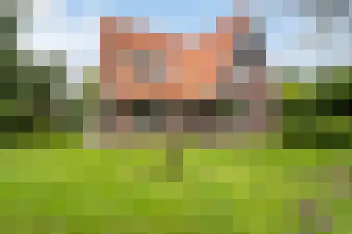 Toldijk 4 Hoogeveen thumbnail 61