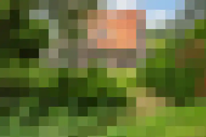 Toldijk 4 Hoogeveen thumbnail 62