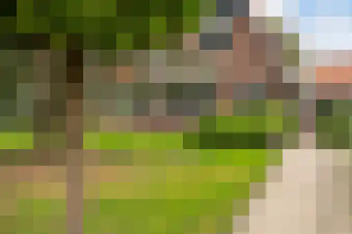 Toldijk 4 Hoogeveen thumbnail 64