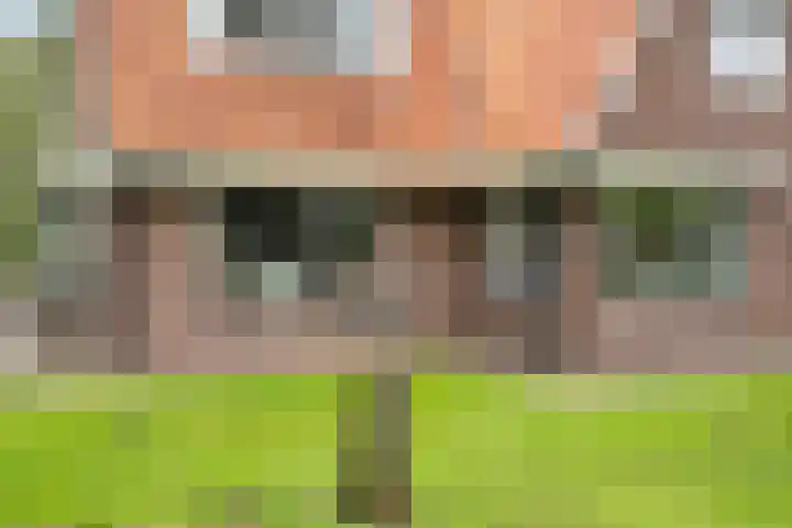 Toldijk 4 Hoogeveen thumbnail 65