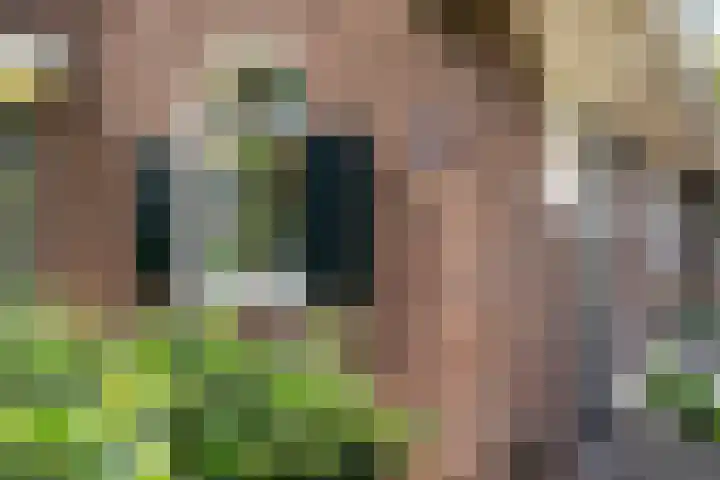 Toldijk 4 Hoogeveen thumbnail 67