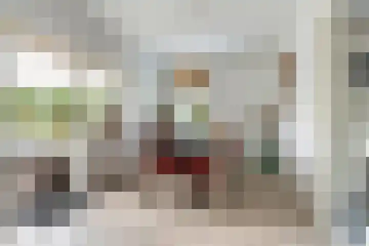 Toldijk 4 Hoogeveen thumbnail 7