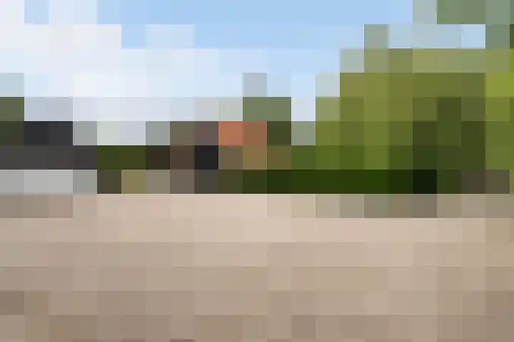 Toldijk 4 Hoogeveen thumbnail 72
