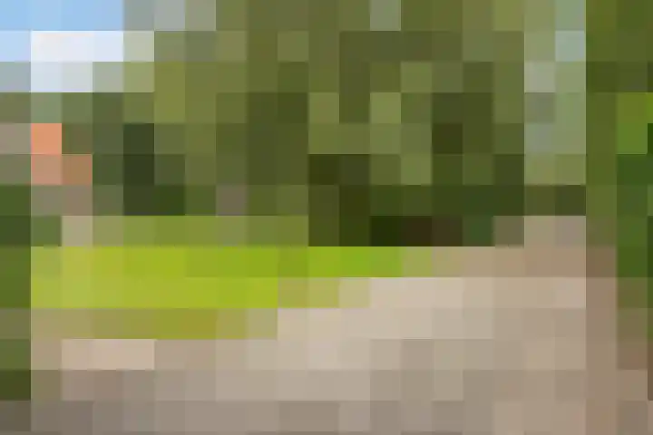 Toldijk 4 Hoogeveen thumbnail 73