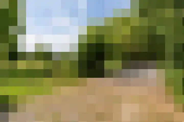 Toldijk 4 Hoogeveen thumbnail 76