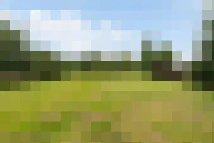Toldijk 4 Hoogeveen thumbnail 79