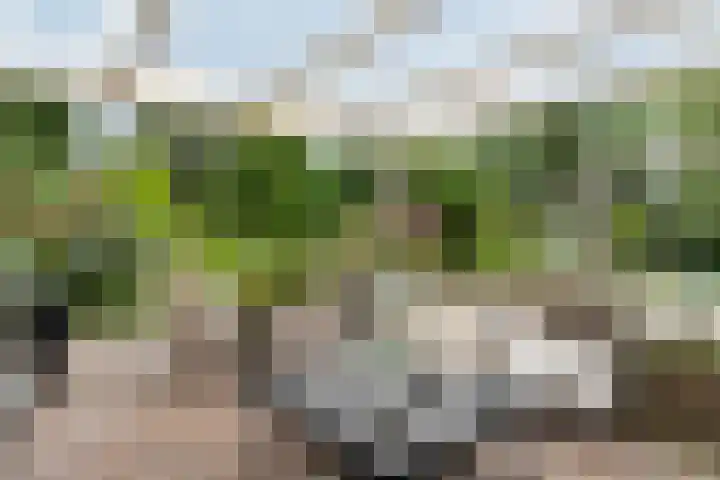 Toldijk 4 Hoogeveen thumbnail 8