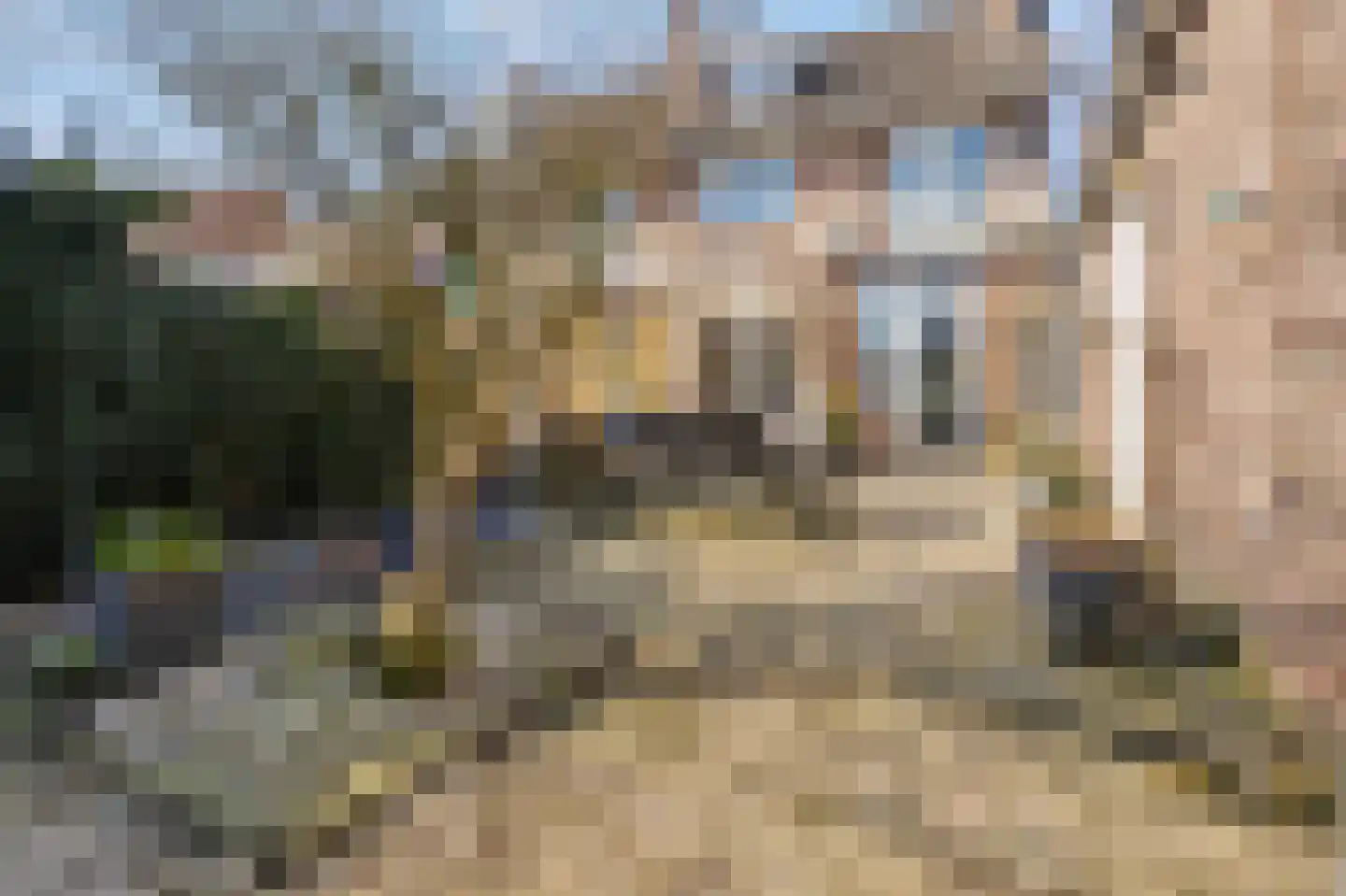 Tolenhof 5 Brunssum thumbnail 25