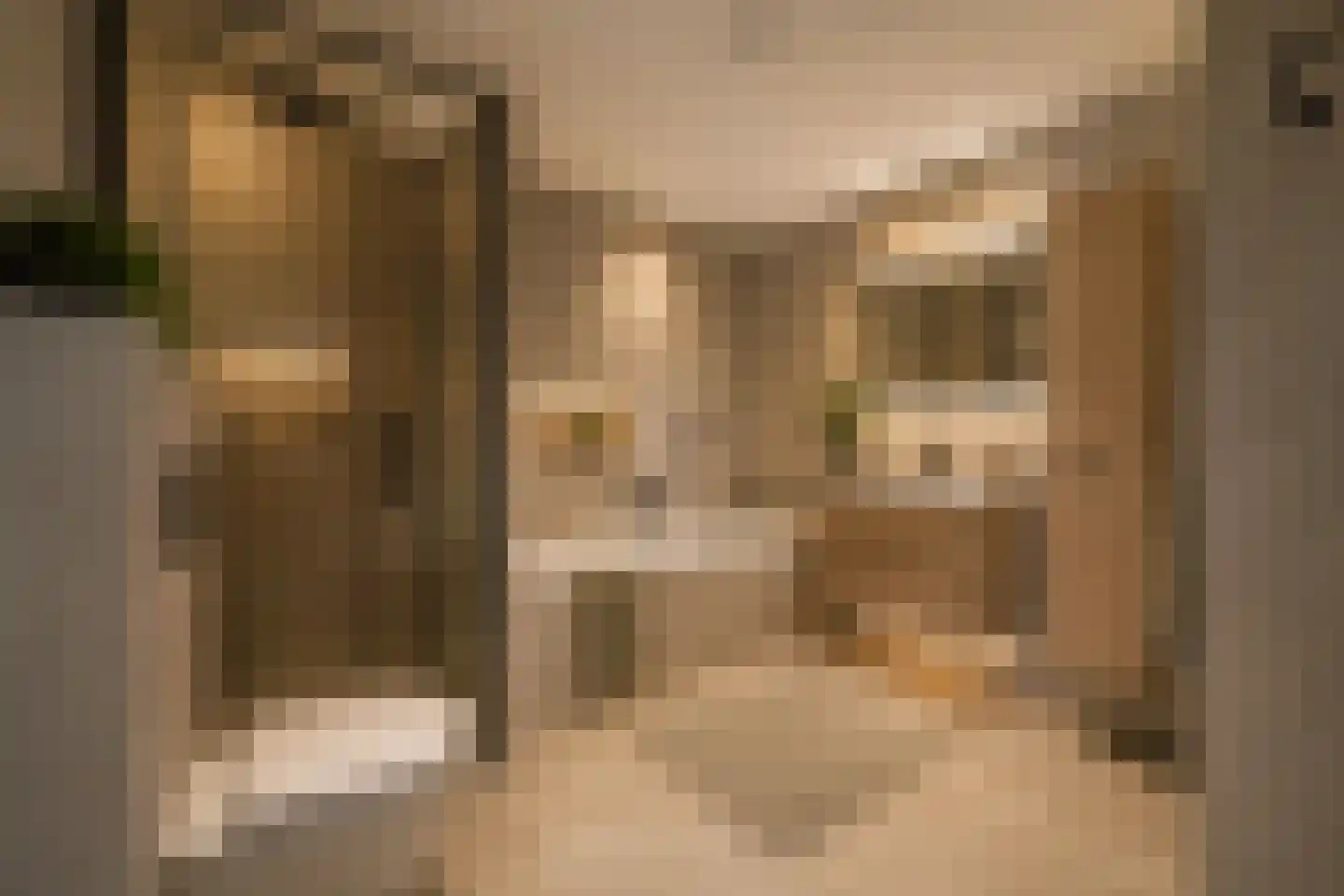 Tolgaarde 54 Wierden thumbnail 16