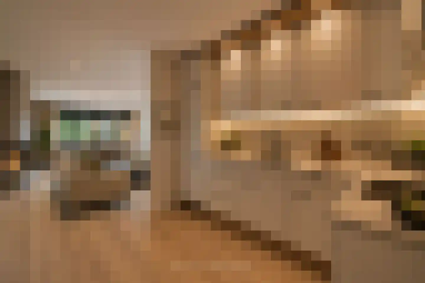 Tolgaarde 54 Wierden thumbnail 9