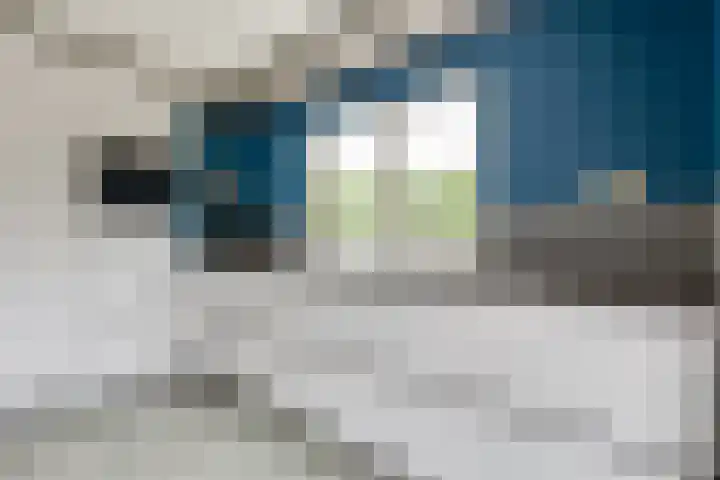 Tolgaarder 1 Groenlo thumbnail 17