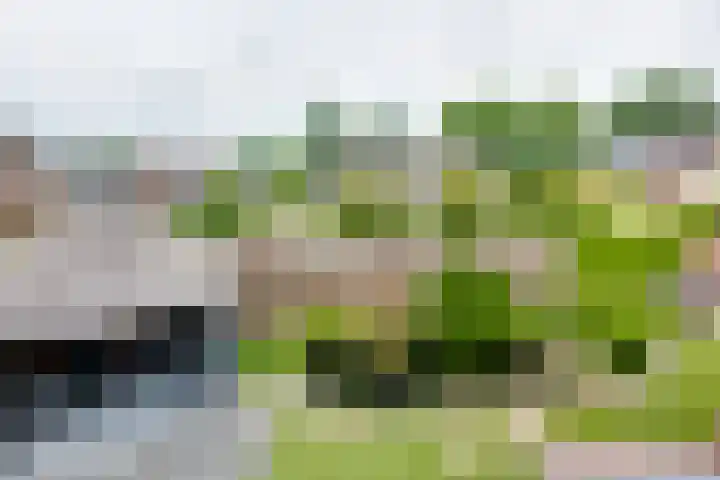 Tolgaarder 1 Groenlo thumbnail 31