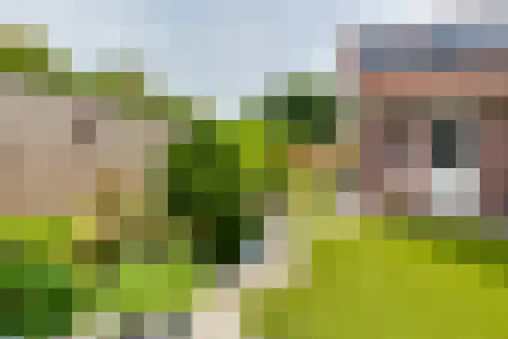 Tolgaarder 1 Groenlo thumbnail 46