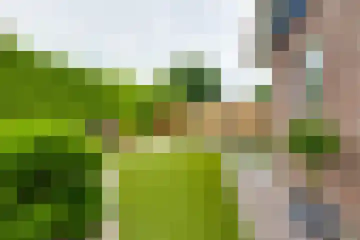 Tolgaarder 1 Groenlo thumbnail 51