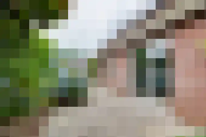Tolgaarder 1 Groenlo thumbnail 56