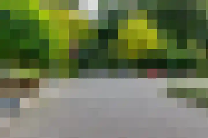 Tolgaarder 1 Groenlo thumbnail 60