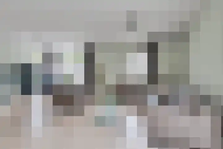 Tolgaarder 1 Groenlo thumbnail 7