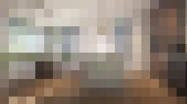 Tolgaarder 4 Nieuwerbrug aan den Rijn thumbnail 4