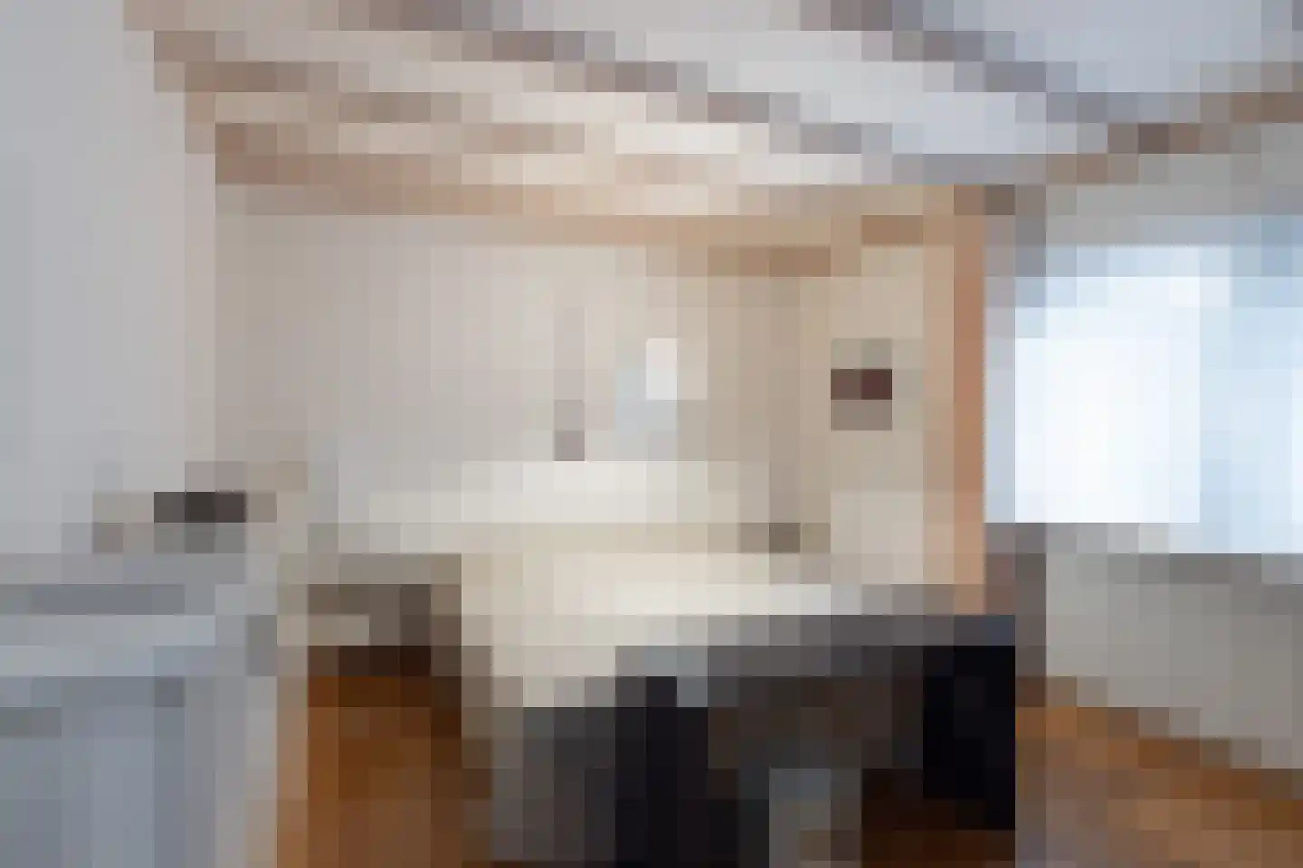 Tolgaarder 5 Groenlo thumbnail 12