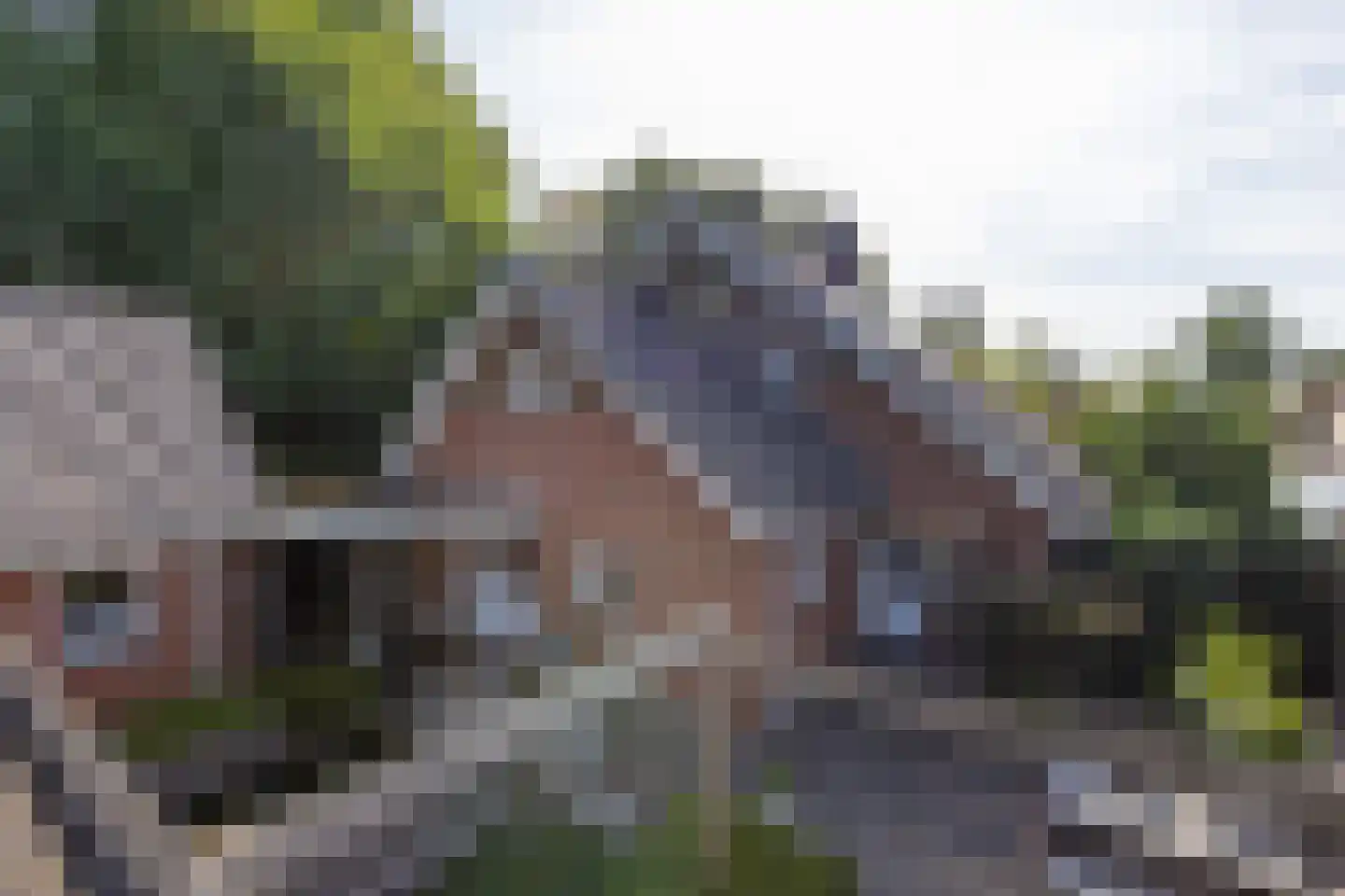 Tolgaarder 5 Groenlo thumbnail 30