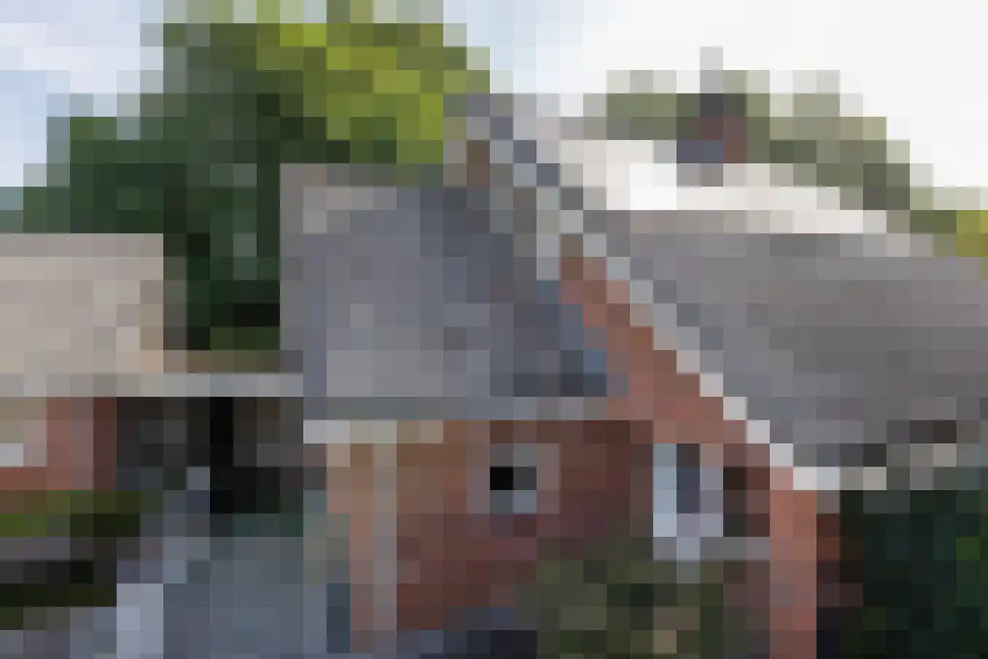 Tolgaarder 5 Groenlo thumbnail 31