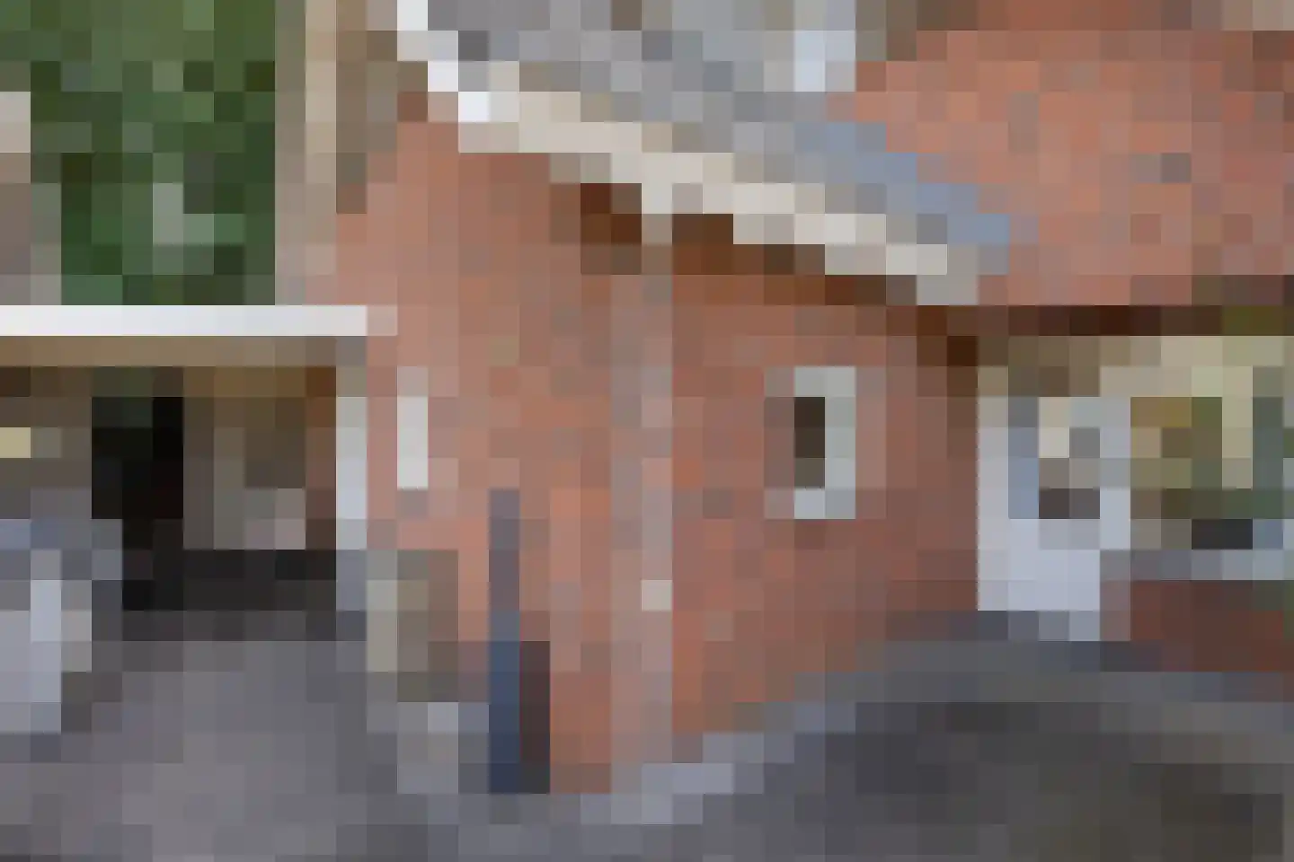 Tolgaarder 5 Groenlo thumbnail 33