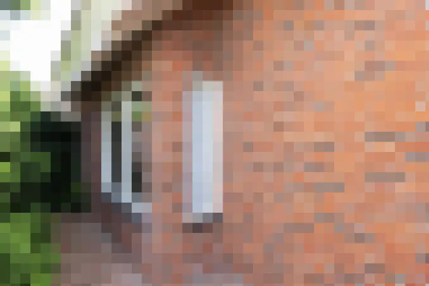Tolgaarder 5 Groenlo thumbnail 39