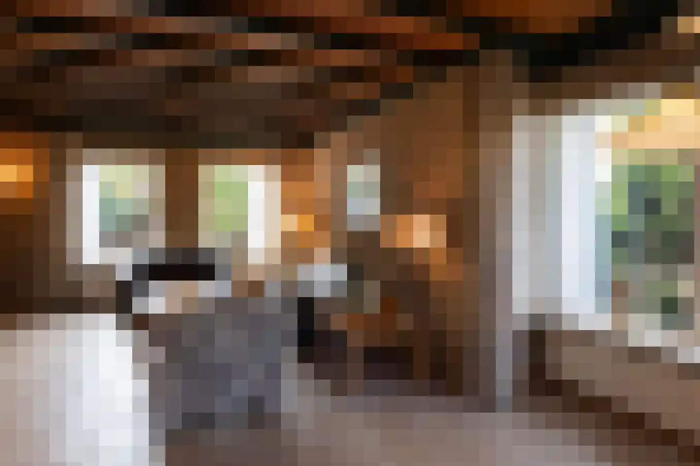 Tolgaarder 5 Groenlo thumbnail 4