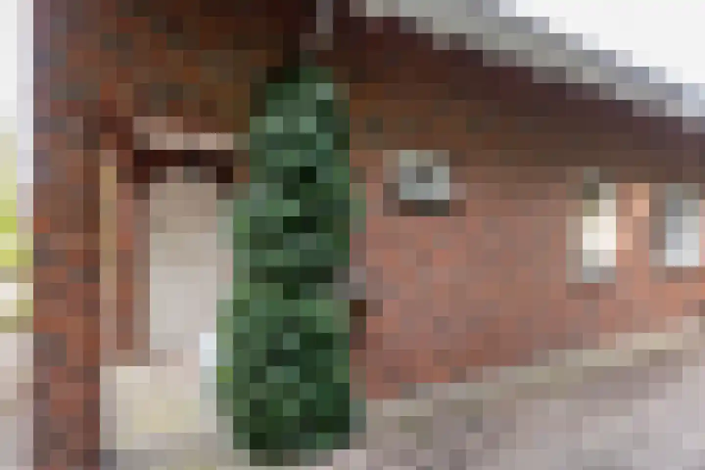 Tolgaarder 5 Groenlo thumbnail 40