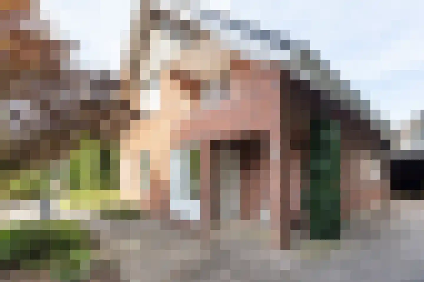 Tolgaarder 5 Groenlo thumbnail 41