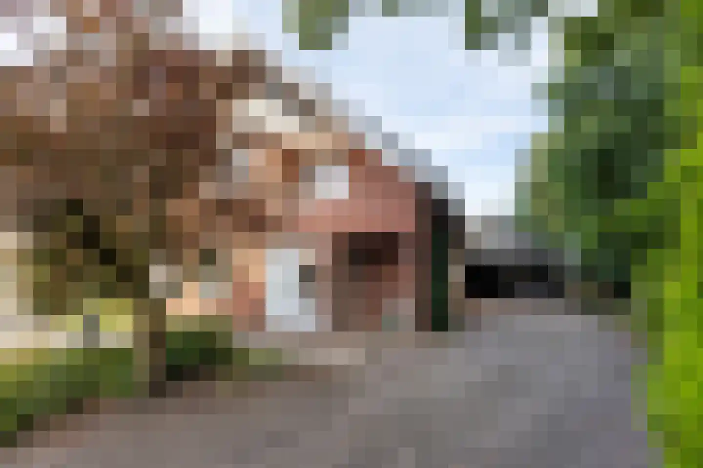 Tolgaarder 5 Groenlo thumbnail 42