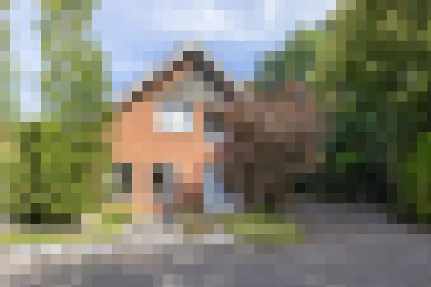 Tolgaarder 5 Groenlo thumbnail 43