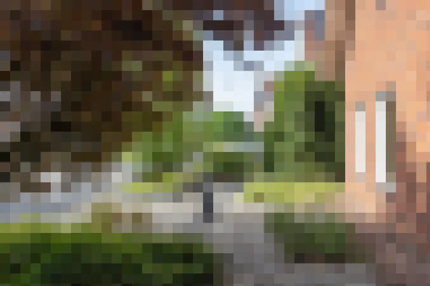 Tolgaarder 5 Groenlo thumbnail 45