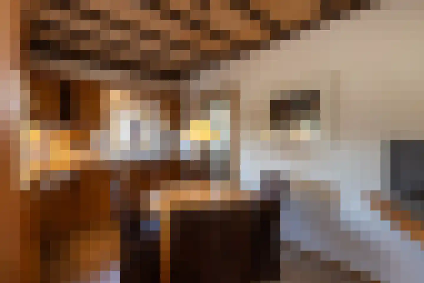 Tolgaarder 5 Groenlo thumbnail 7