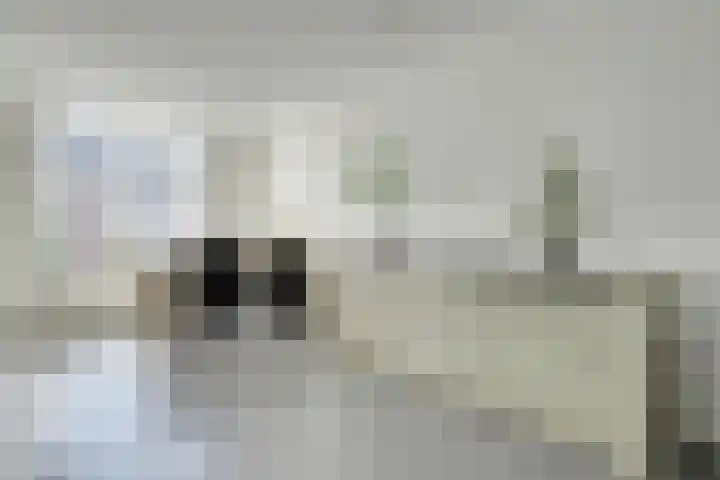 Tolgaarderlaan 16 IJsselstein thumbnail 7