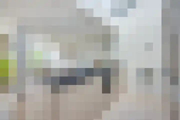 Tolgaarderserf 20 Houten thumbnail 21