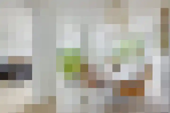 Tolgaarderserf 20 Houten thumbnail 22