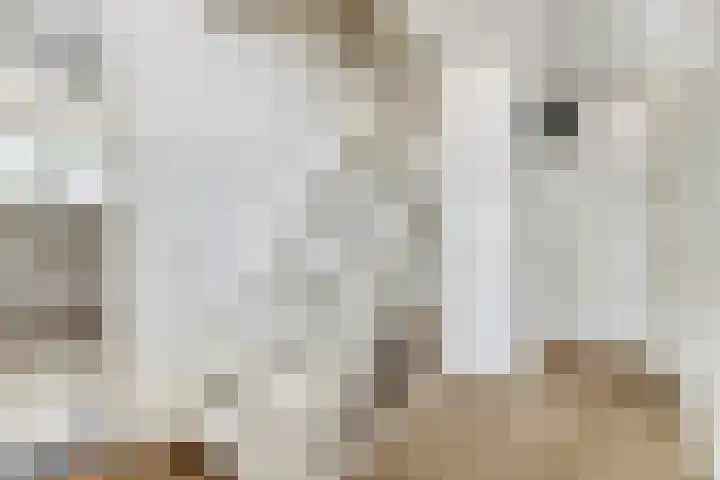 Tolgaarderserf 20 Houten thumbnail 29