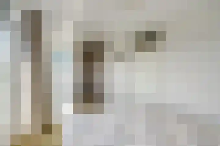 Tolgaarderserf 20 Houten thumbnail 31