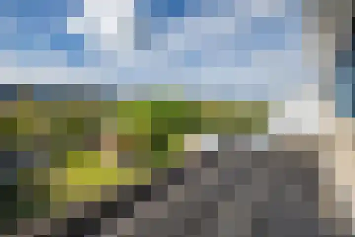 Tolgaarderserf 20 Houten thumbnail 35