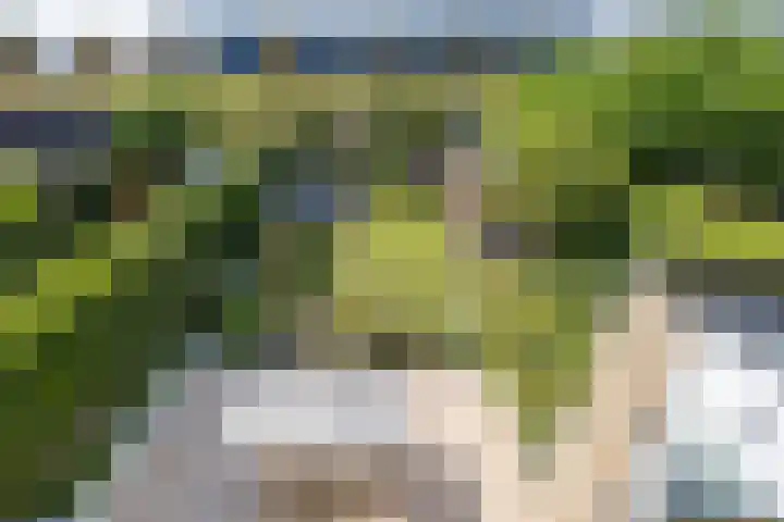 Tolgaarderserf 20 Houten thumbnail 48