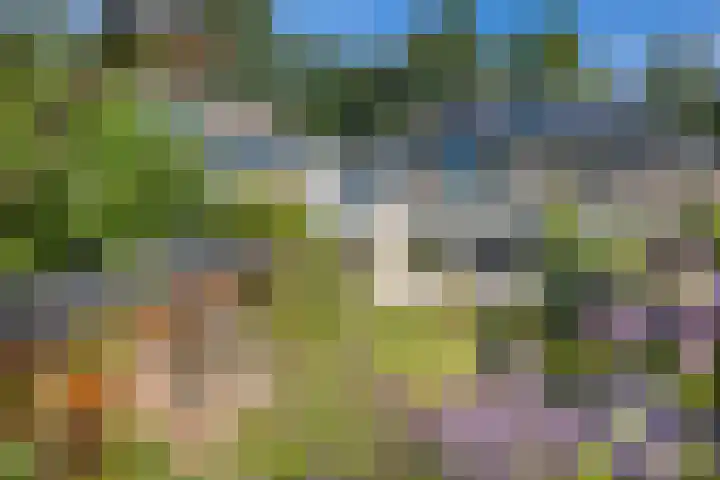 Tolgaarderserf 20 Houten thumbnail 49