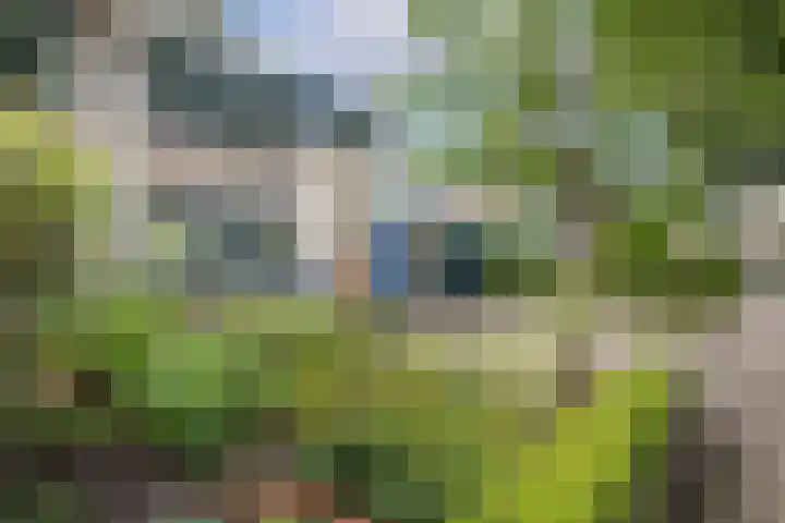 Tolgaarderserf 20 Houten thumbnail 5