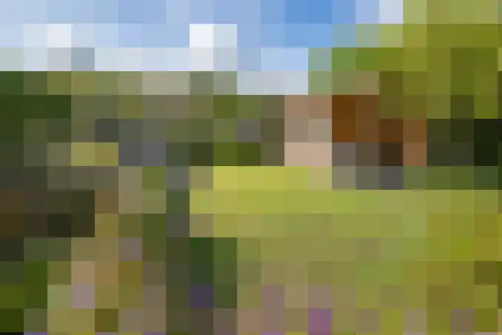 Tolgaarderserf 20 Houten thumbnail 53