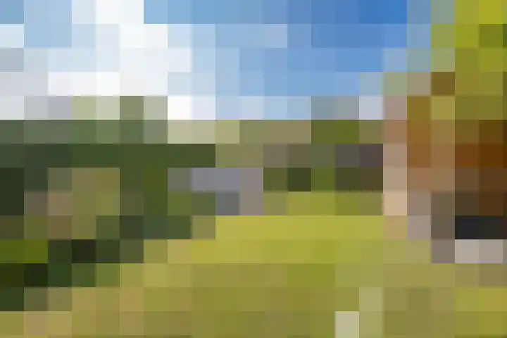 Tolgaarderserf 20 Houten thumbnail 54