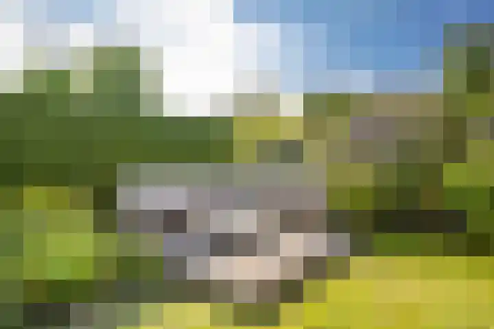 Tolgaarderserf 20 Houten thumbnail 55