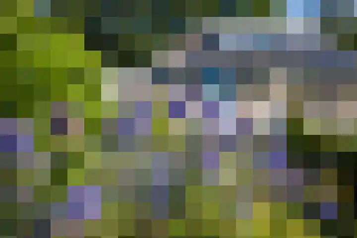 Tolgaarderserf 20 Houten thumbnail 56