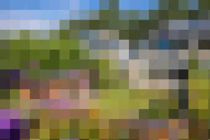 Tolgaarderserf 20 Houten thumbnail 57